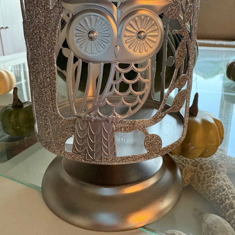 Silver Owl Candle Holder 3 wick